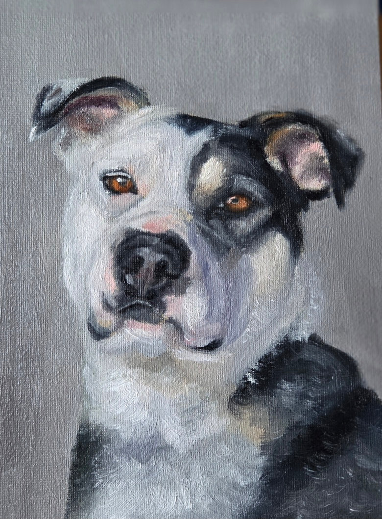 Custom Pet Portrait — Hand-Painted Oil on Canvas